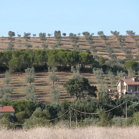 San Lino-gilberto Farma