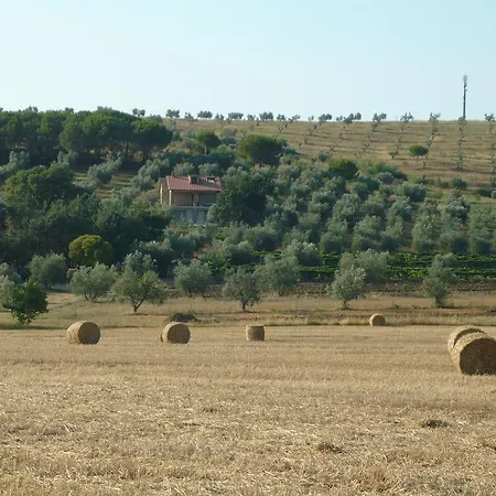 Farma San Lino-gilberto *